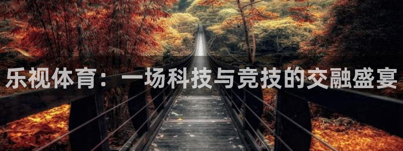 球神体育直播在线：乐视体育：一场科技与竞技的交融盛宴