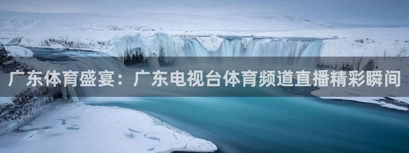 球神足球直播：广东体育盛宴：广东电视台体育频道直播精彩瞬间