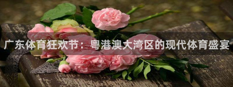 球神体育直播：广东体育狂欢节：粤港澳大湾区的现代体育盛宴