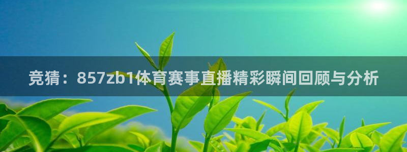nba直播球神直播：竞猜：857zb1体育赛事直播精彩瞬间回顾与分析