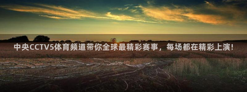 球神直播免费体育直播：中央CCTV5体育频道带你全球最精彩赛事，每场都在精彩上演!