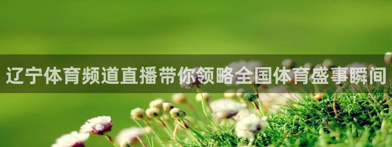 球神 直播：辽宁体育频道直播带你领略全国体育盛事瞬间