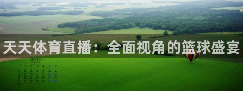 nba球神直播：天天体育直播：全面视角的篮球盛宴
