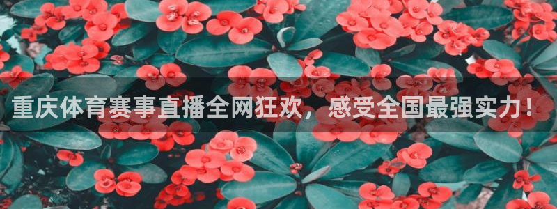 球神体育直播在线：重庆体育赛事直播全网狂欢，感受全国最强实力！