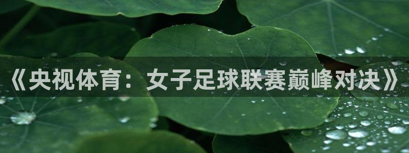 球神直播体育在线观看网址：《央视体育：女子足球联赛巅峰对决》