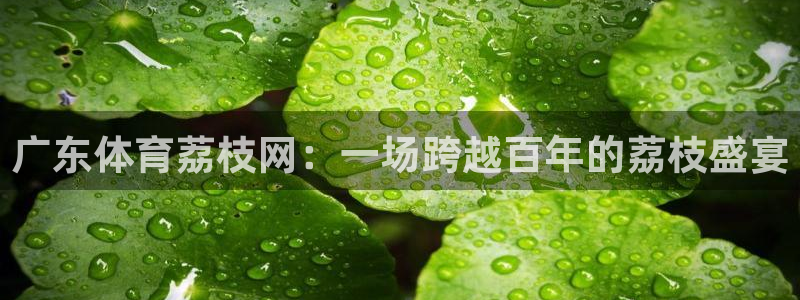 球神体育nba直播：广东体育荔枝网：一场跨越百年的荔枝盛宴